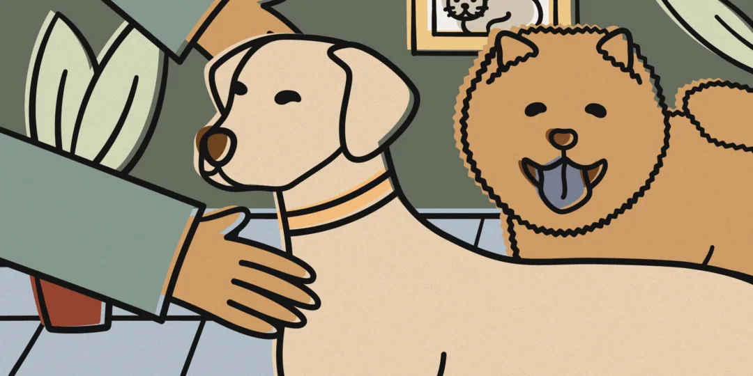 Downtown Knoxville Vet Clinic | Erika Wolfe
