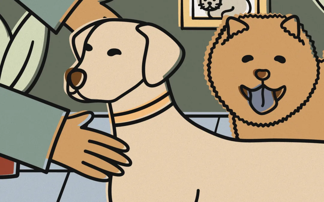 Downtown Knoxville Vet Clinic | Erika Wolfe